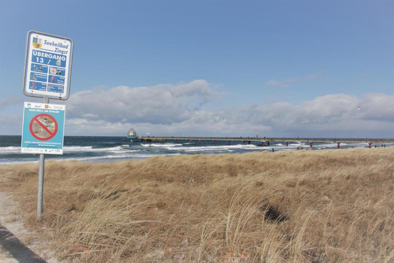 Residenz Am Strand Wohnung 4-64 ツィングシュト エクステリア 写真